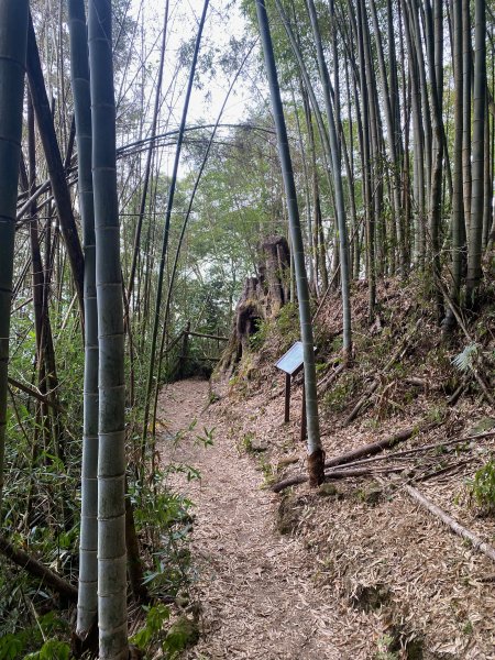 1120329奮瑞古道2643527