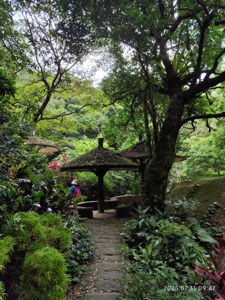 大湖公園→大溝溪生態治水園區→圓覺寺步道→圓覺瀑布→圓覺寺→鯉魚山步道【臺北大縱走 4、臺北健走趣】2849100