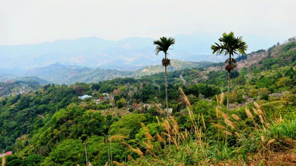 梅嶺竹子尖山2987423