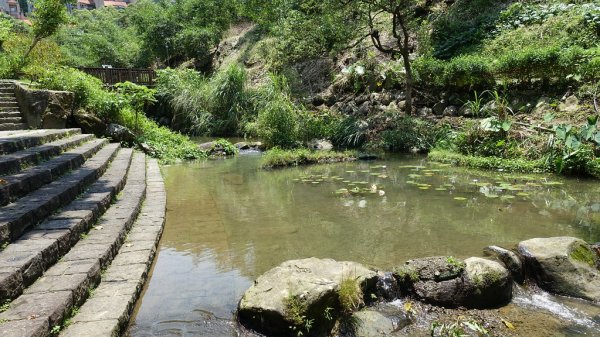 小溪環繞環境清幽的散策好去處＠小坑溪親水文學步道