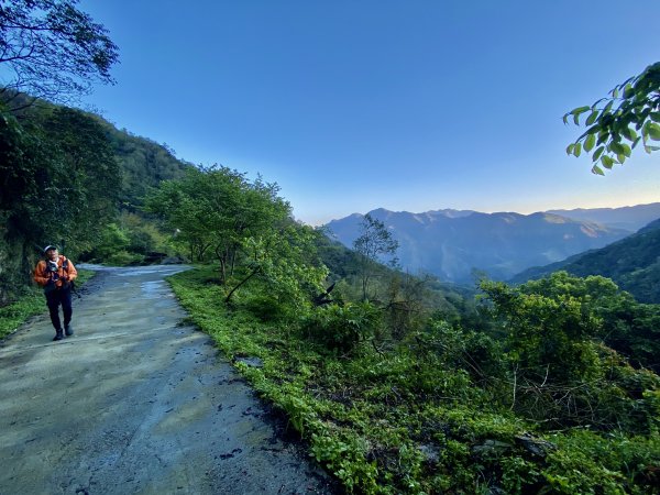 小鬼湖林道登亞泥笛山    2022/2/251622544