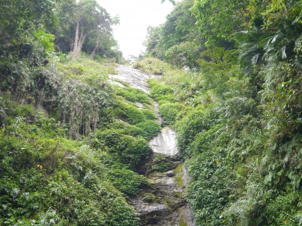 知本林道瀑布1320668