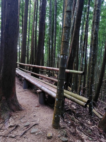 長壽山、肥崠山、醜崠山、大崠山、大崠山經建版2931537