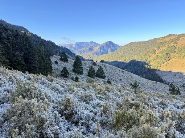 大眾運輸登 雪山西稜 (中雪山未竟) 2025/12/3~92970030
