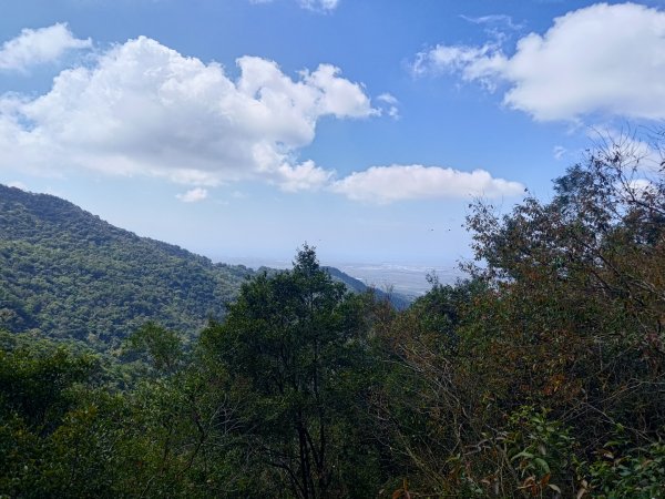 盆貿里山三盆連走2749587