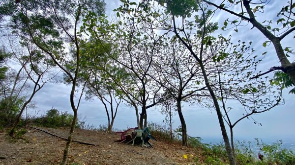 棚集山(小百岳#78)2800388