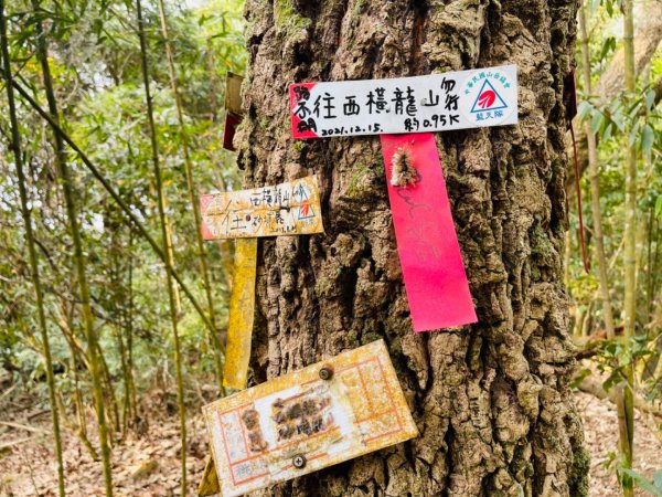 1120318水雲三星｜騰龍山-橫龍山北峰-橫龍山2077109