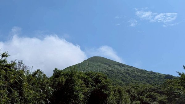 大屯山主峰步道3067623