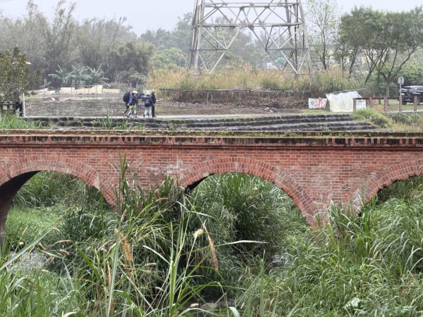 [樟之細路_第一大段RSA01] 2026_0329 大平紅橋3026631