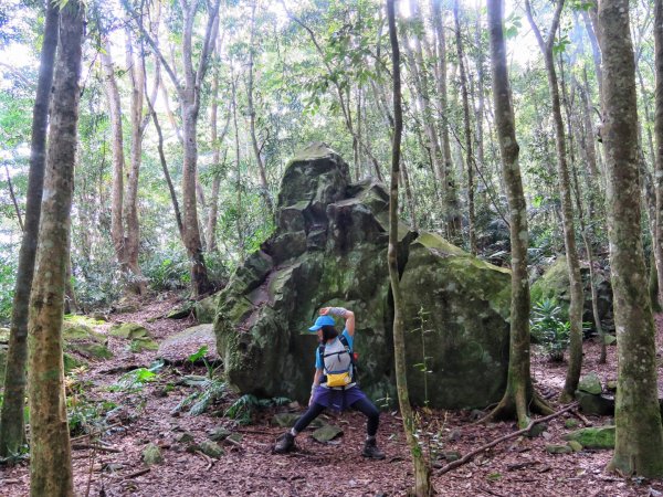 水雲三星 鳳山-鳥嘴山（上島山）1648032