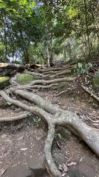 馬那邦山賞楓一日遊