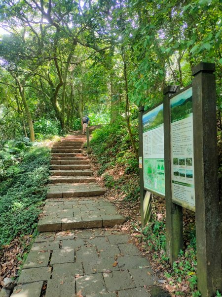 紫明溪步道+［陽明山五瀑］（大屯+小隱潭+半嶺+松溪+翠峰）（一）（2023/8/29）2268151