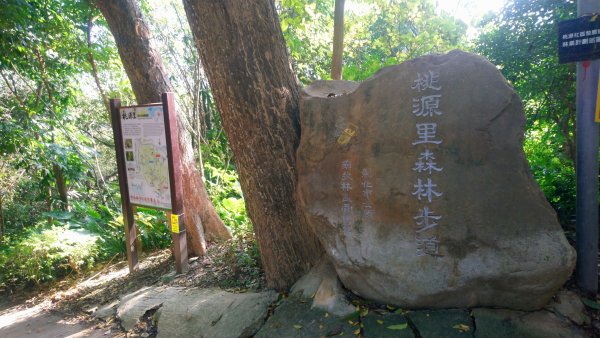 桃源里森林步道和龍鳳谷步道1591600