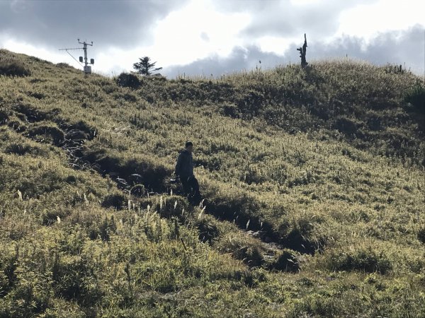 雪山 不下雪533034