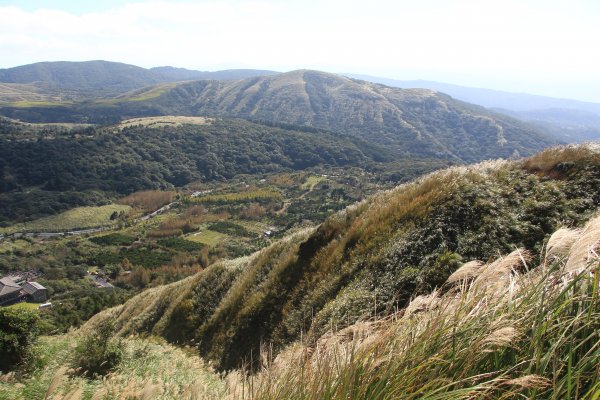 芒芒的七星山758945