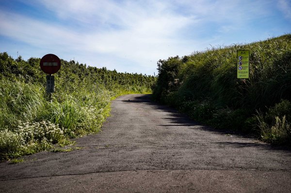 大屯山連峰步道｜陽明山小百岳2856252