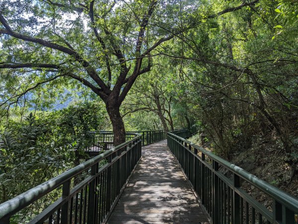 捎來步道。谷關吊橋。捎來吊橋1743945