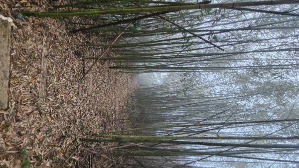 出關古道：十份崠段2700618