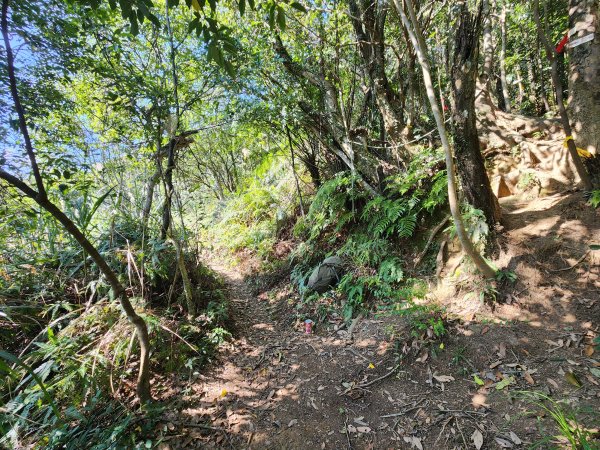 20240114指南宮站經猴山岳二格山鵝角格山至貓空站2430824