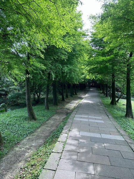 台北大縱走第三段2786903