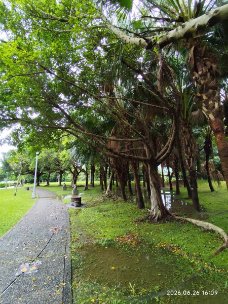 內湖瑞光公園3083346