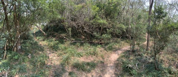 20250404屏東北獅子頭山-霧里乙山2757433