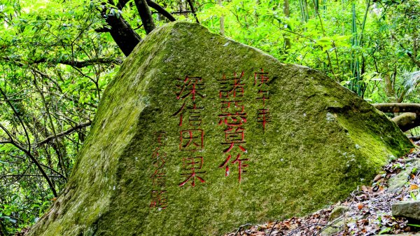 白石湖沒有百合花。晶片關稅2781578