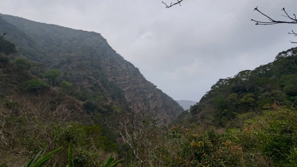 里龍山3038437