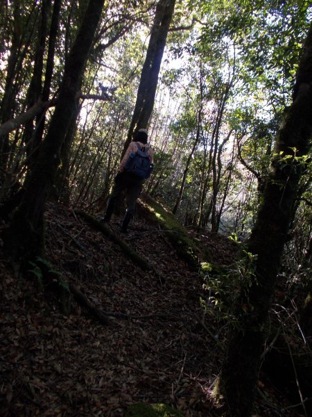 鎮子堡山,西納基山,吉納基山,養老山740942