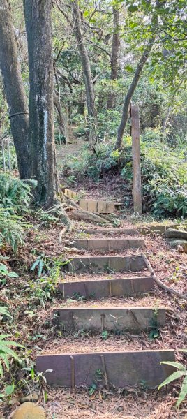 新寮休閒步道2949203