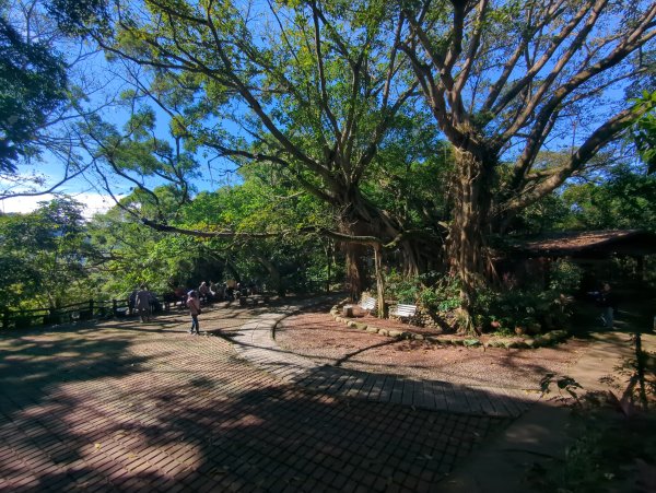 2026.01.25－微笑山線：【天上山系】烘爐地土地公段2994568