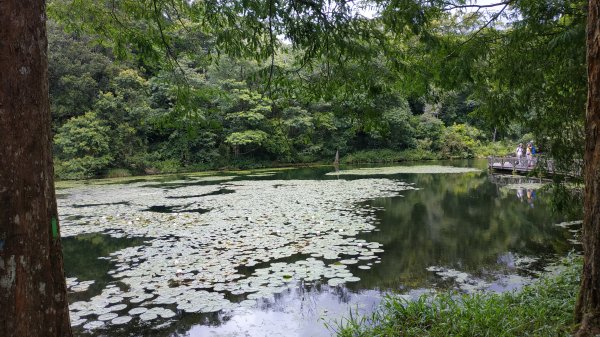 福山植物園1091005