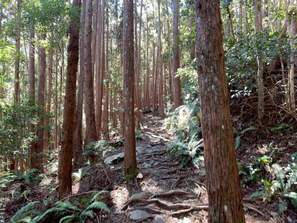 🌈11/15（六）松鶴上八仙山下森林遊樂區✨FB：熊熊趴爬走🌈2937669