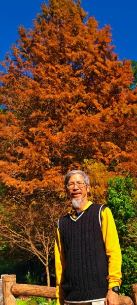 #花卉試驗中心 #永公路500巷 #平菁街42巷 #原住民公園 #士林官邸 1/42976542