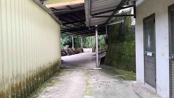 20250607 新竹竹東三山(樹杞林山 - 新具庄山 - 員崠子山)  O型2809157