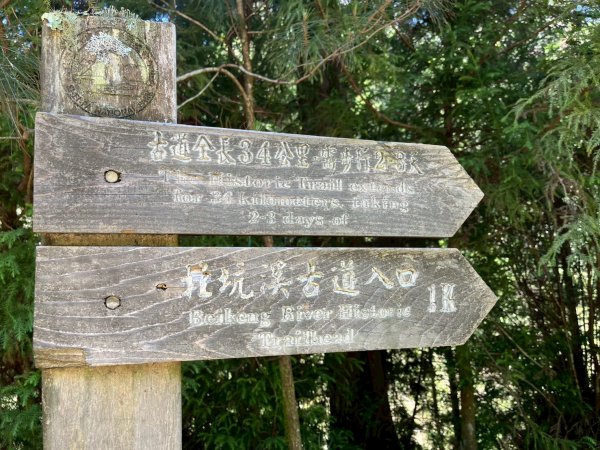 新竹 五峰 觀霧國家森林遊樂區 大鹿林道西線 榛山步道2811381