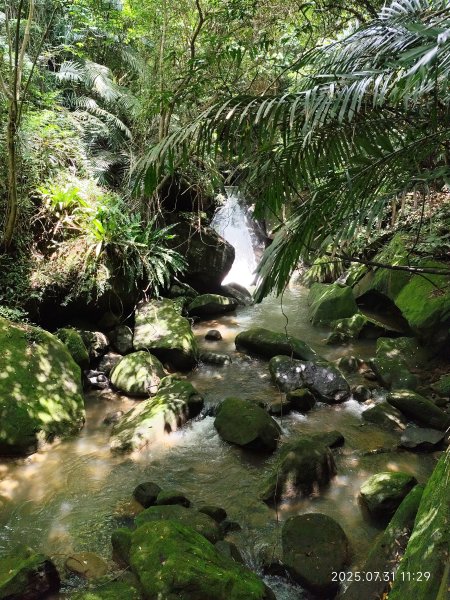 圓覺寺步道→新福本坑→碧湖步道→碧山公園→國立臺灣戲曲學院→碧湖公園→大港墘公園【臺北健走趣】2849249