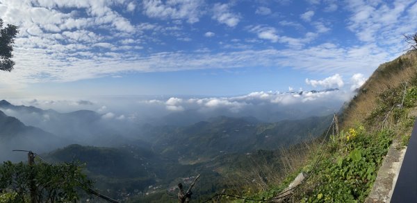 20250119二延平步道2716341