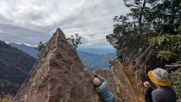 北得拉曼巨木步道2695508