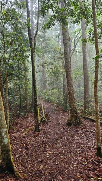 112.04.08 油羅山2123570