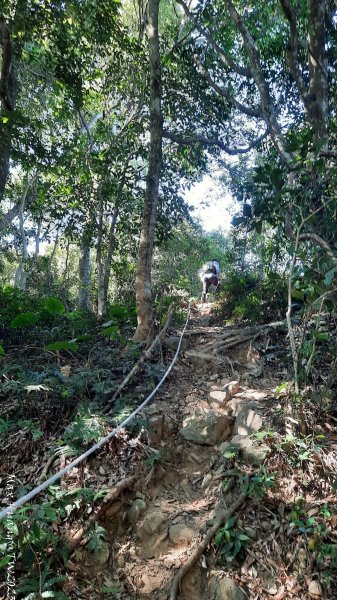 《台中》酒桶黑山｜暗影山登山(北稜線）202312242385761