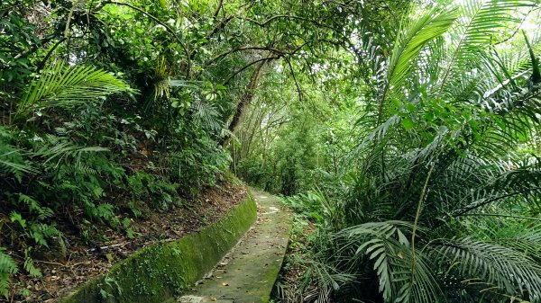 豹山環型步道2226651