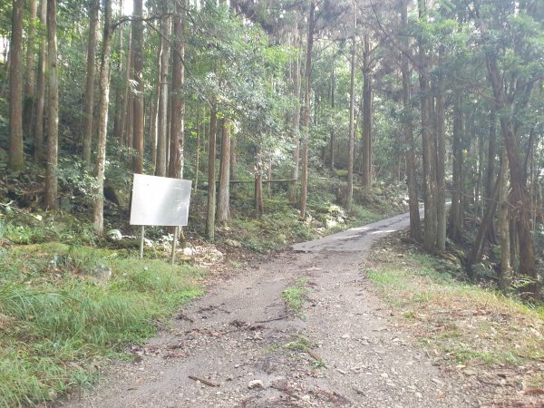 20221010裡冷林道上眉原山1887025