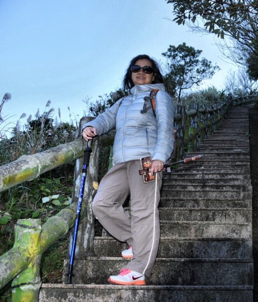 無耳茶壺山447885