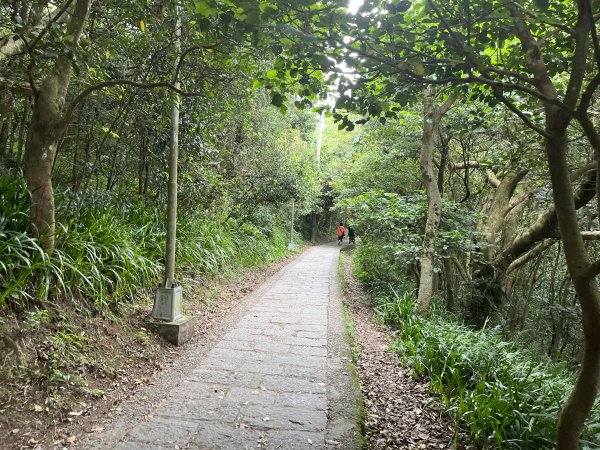 觀音任務-觀音山頂(硬漢嶺)2144348