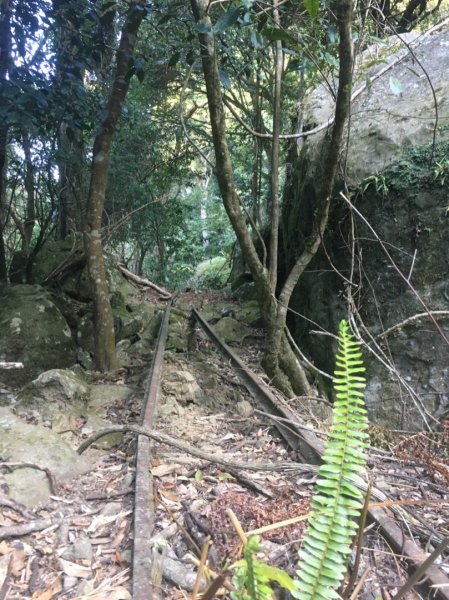 加里山前山、鐵道遺跡、索道、香菇寮2052738