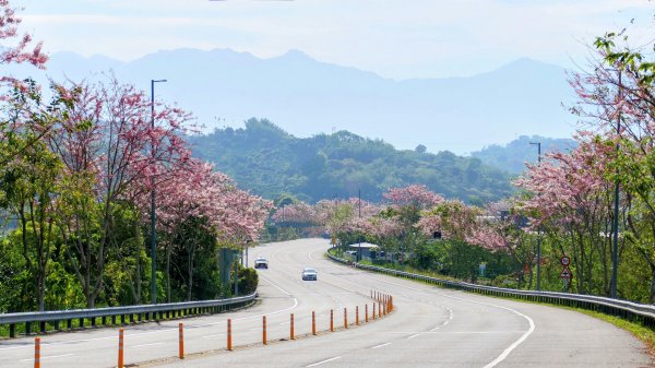 獨立山步道。法說會2765010