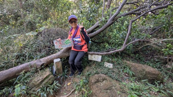 114.11.23龍泉山寺-成福山-十八羅漢岩-石門內尖山-石門內尖山東峰之旅2943740