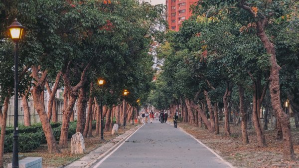 【蛇年走春】明日高雄、雙城線、愛河線2705602