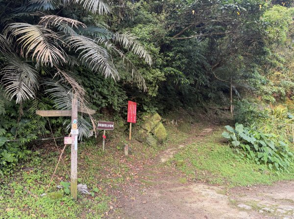 [微笑山線_第八段] 2026_0411 二格山系_西帽子岩3034935